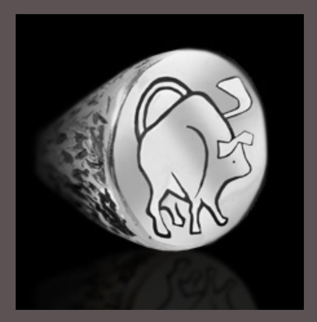 Zodiac Rings & Pendants
